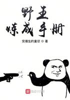 野王的炼成手册手册