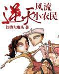 逆天小农民段飞txt免费
