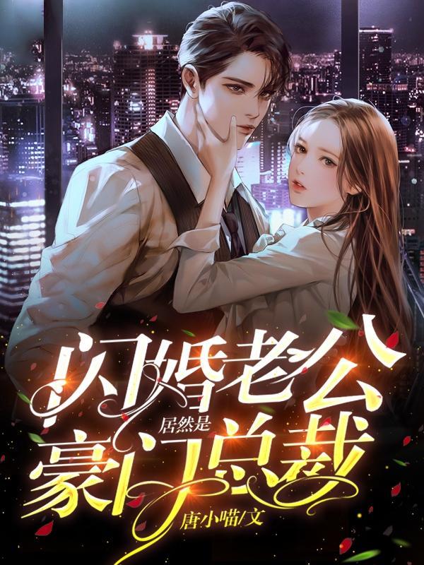 闪婚老公是总裁的