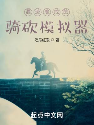 混迹魔戒的骑砍模拟器TXT九五