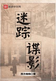 迷踪谍影完整版免费版