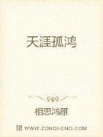 人间孤鸿是什么意思