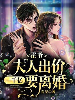 霍爷夫人出价一千亿要离婚的免费阅读