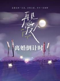 再见爱人是离婚的夫妻吗