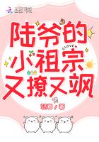 陆爷的小祖宗又撩又飒全文免费阅读