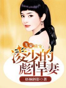 飞来横犬免费阅读