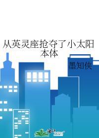 从英灵座抢夺了小太阳本体24