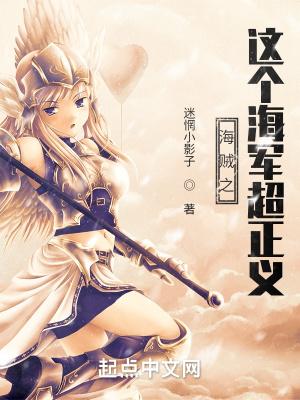 海贼王之海军正义系统