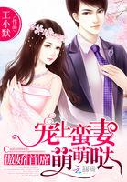 傲娇男神宠妻上瘾