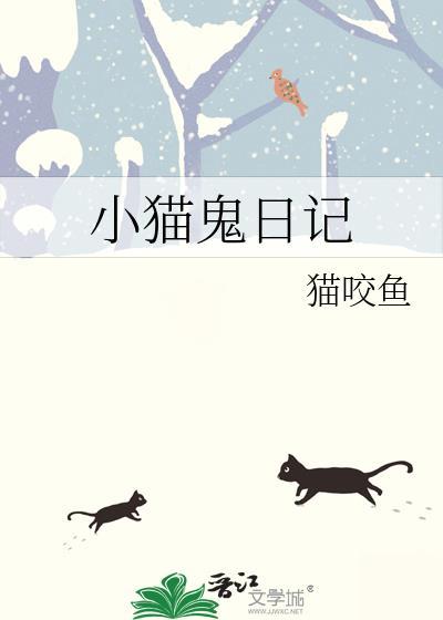 小猫日记