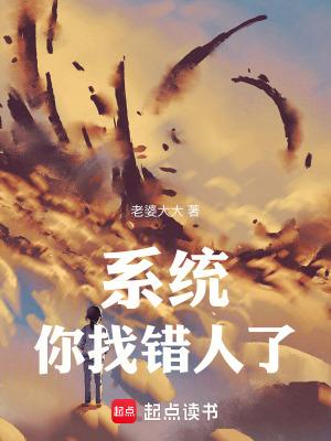 系统你找错人了txt百度