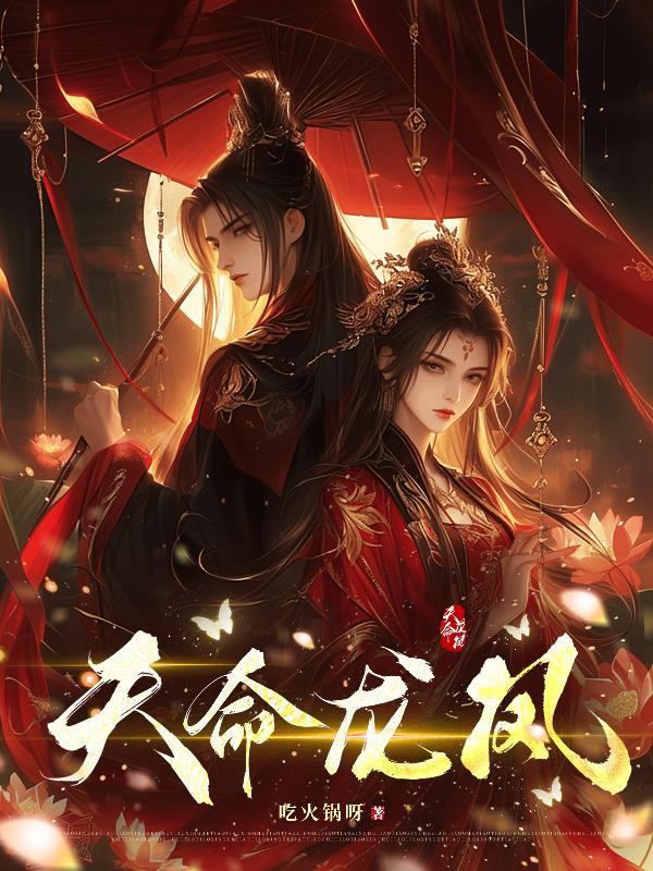 天命龙凤诀境界详细介绍