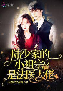 陆少家的三个小祖宗