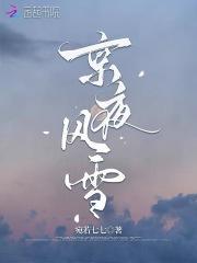 京夜风雪沈毅清