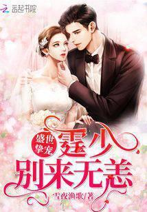 盛世宠婚帝少别来无恙