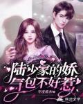 陆少家的撒娇精全文免费阅读