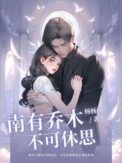 南有乔木主线攻略