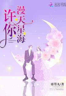 许你漫天星辰什么意思