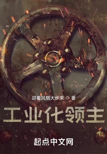 工业化领主TXT九五