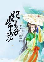 王爷的女人 风欲静