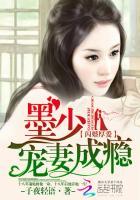 闪婚厚爱墨少宠妻成瘾全文免费无弹窗