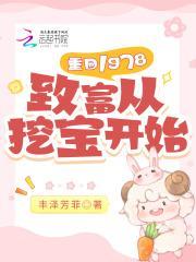 重回1978致富从挖宝开始(丰)