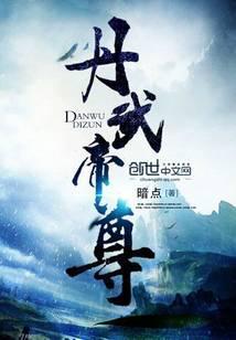 丹武帝尊杨辰在线阅读