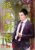 绝品新贵txt