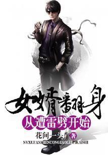 女婿翻身从遭雷劈开始 花间一头牛