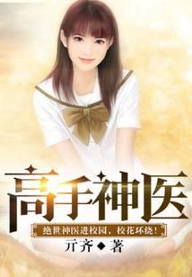 高手神医叶枫姜君瑶免费阅读