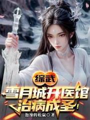 雪月城百度百科