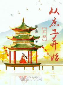 红楼从庶子开始的帝业