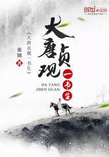 大唐贞观一书生TXT