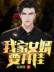 我家女婿要开挂免费阅读