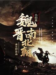 小招说魏晋南北朝 聚合中文网