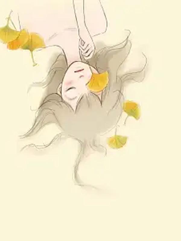 处处遗憾这首歌的寓意