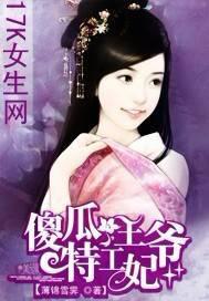 傻瓜王爷的王妃