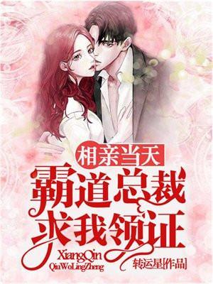 相亲时遇到霸道总裁