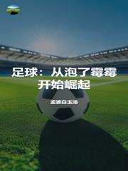 从足球流氓到崛起1在线观看