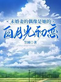 我的偶象未婚妻