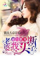 豪门宠婚我老婆