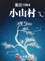 重回1984小山村徐锐免费