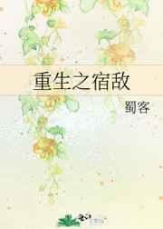 重生之宿敌TXT