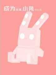 成为乐高小兔长佩
