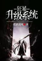 狂暴升级系统 把酒凌风