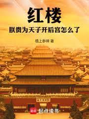 红楼朕贵为天子