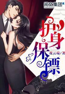 护身保镖的修炼境界等级