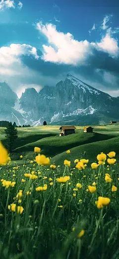 首富千金让我七夕转正后续