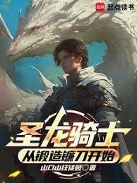 圣刃龙骑士书图片