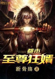都市至尊狂婿短剧合集
